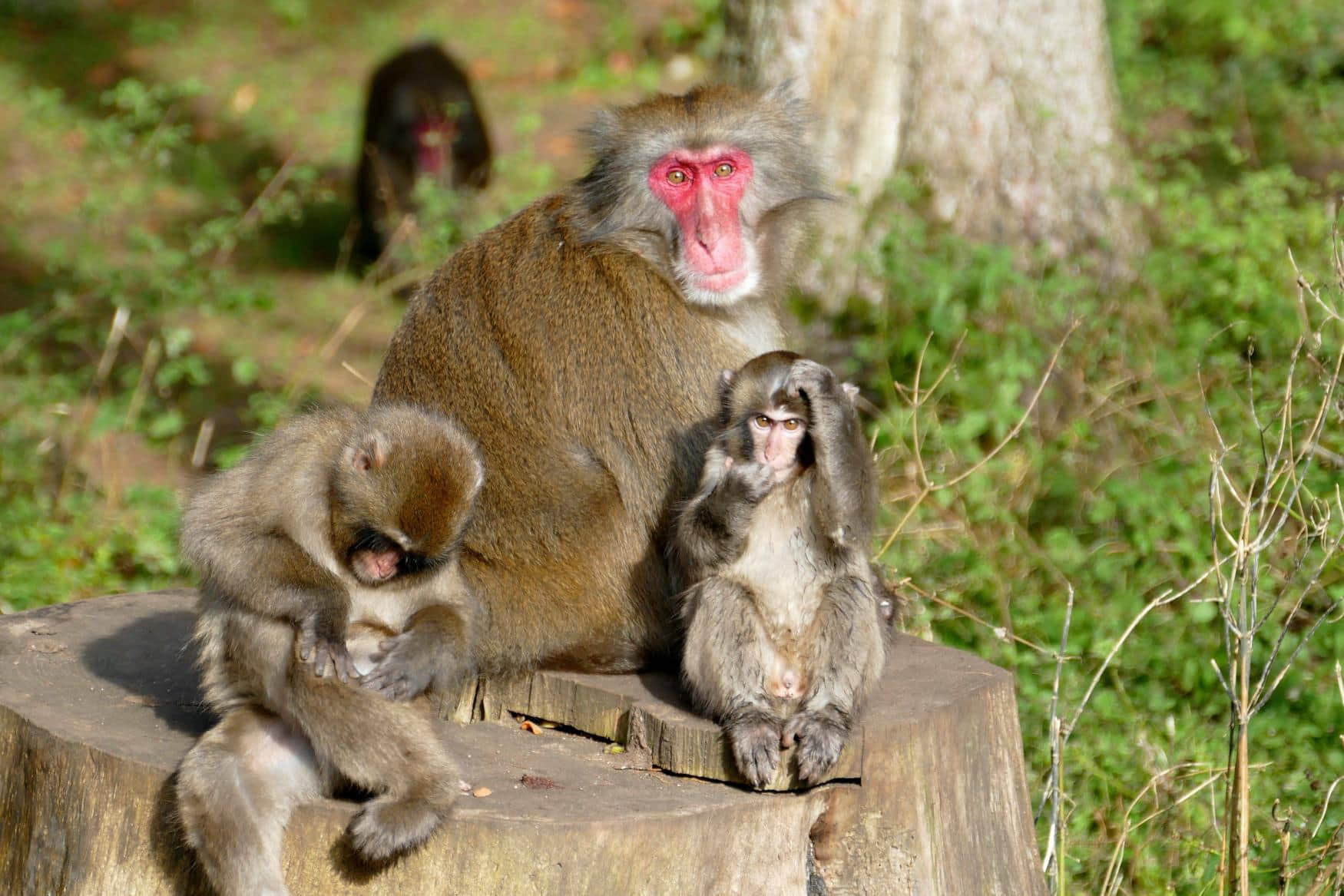 Nature Park Sparbach photo 1