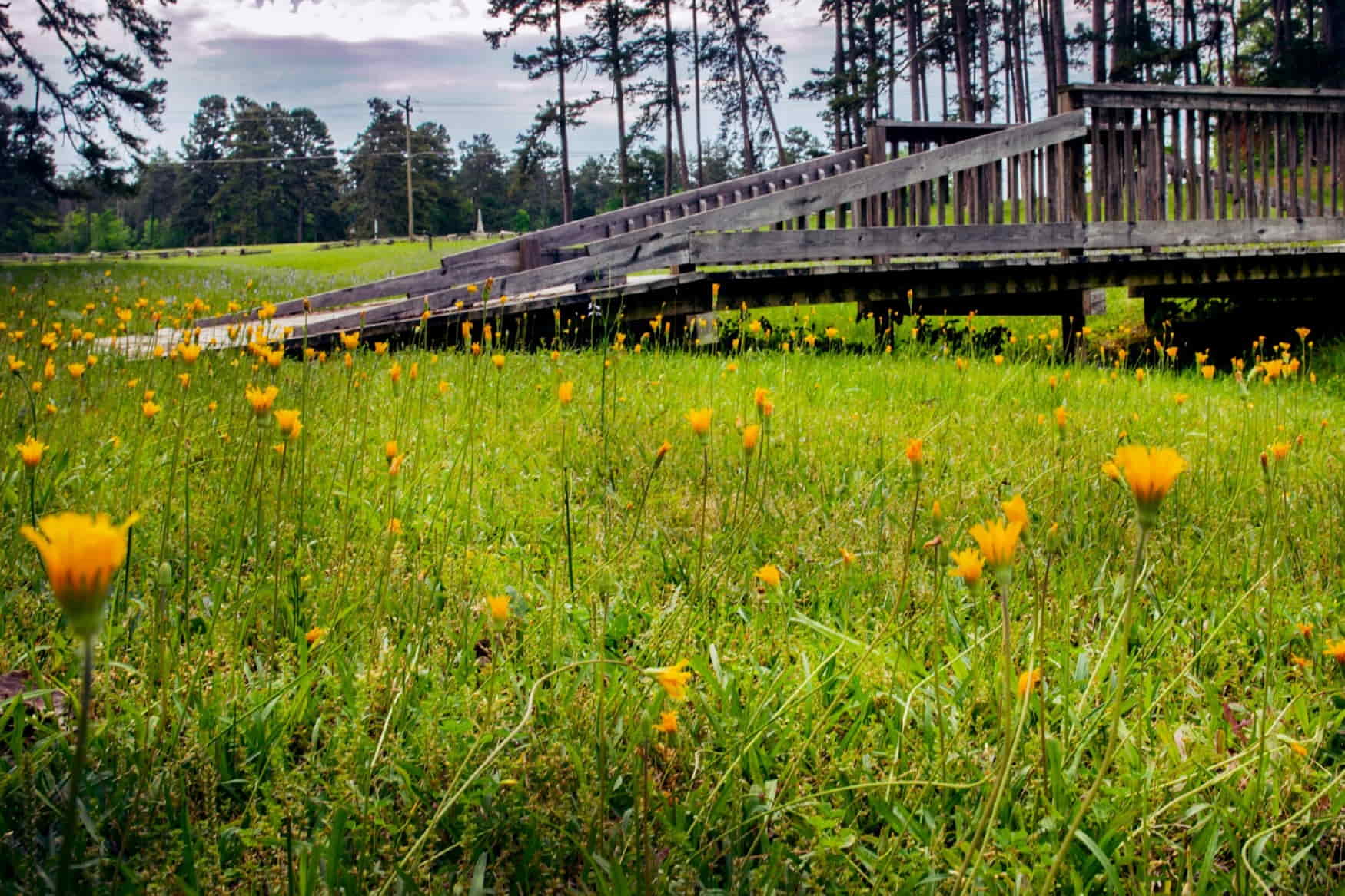 North Carolina Museum of History photo 1