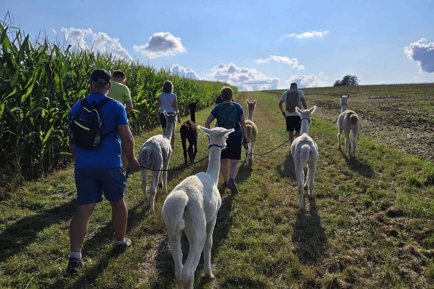 Voglsam Adventure Park фото 1