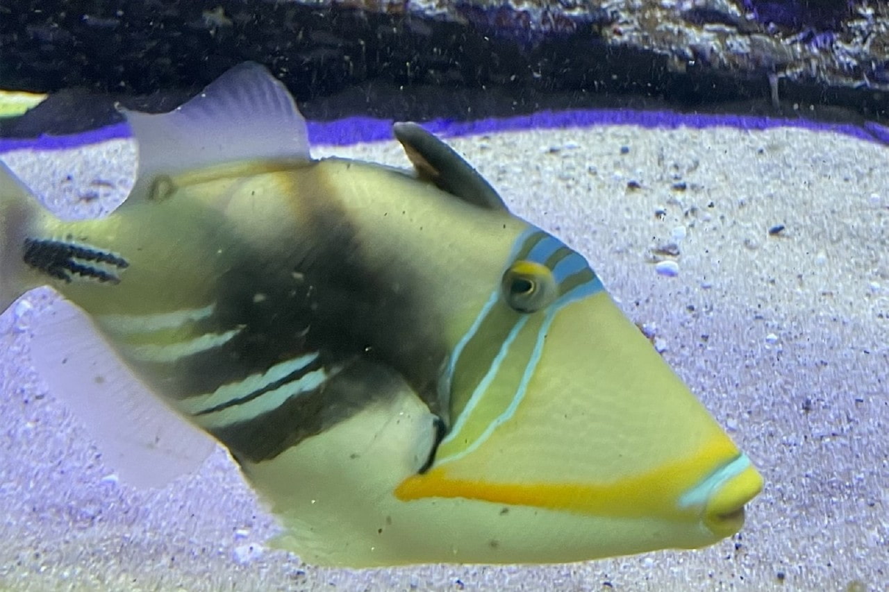 Aquarium Geomar photo 1