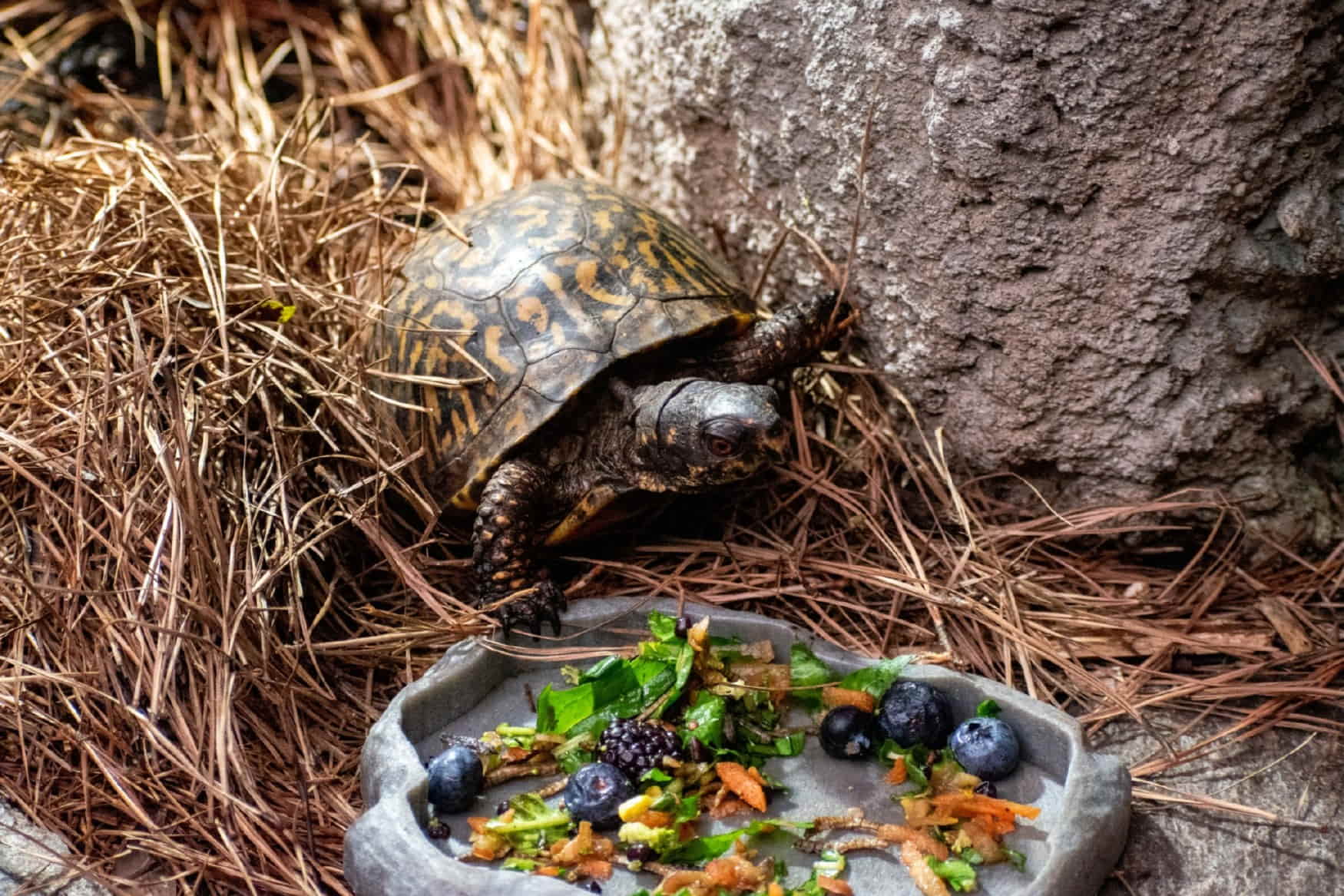 North Carolina Aquarium on Roanoke Island photo 1