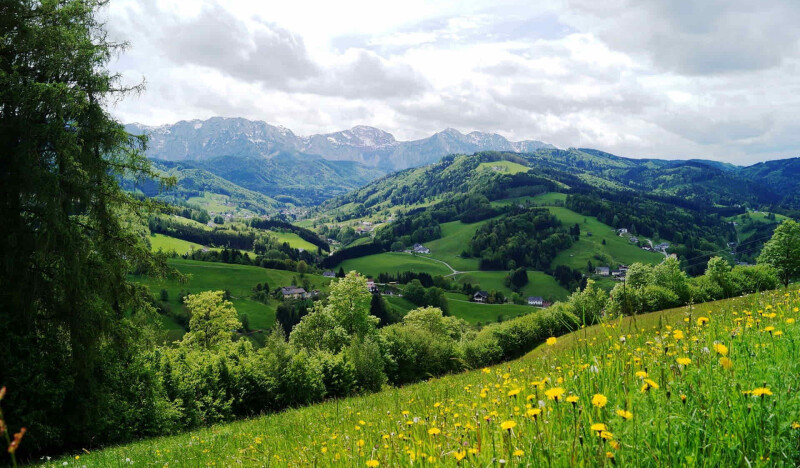 Attersee-Traunsee Nature Park