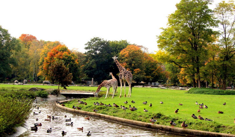 Augsburg Zoo