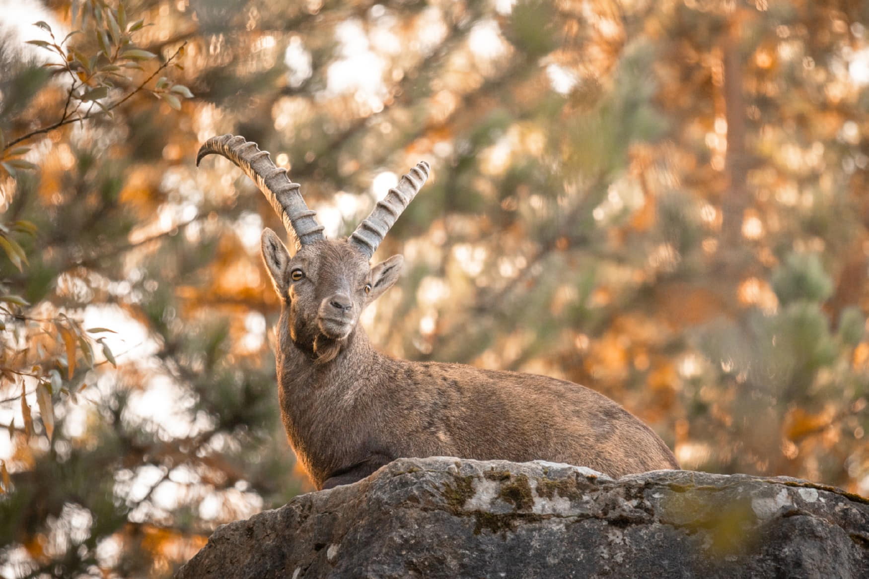 Palm Beach Nuremberg фото 1