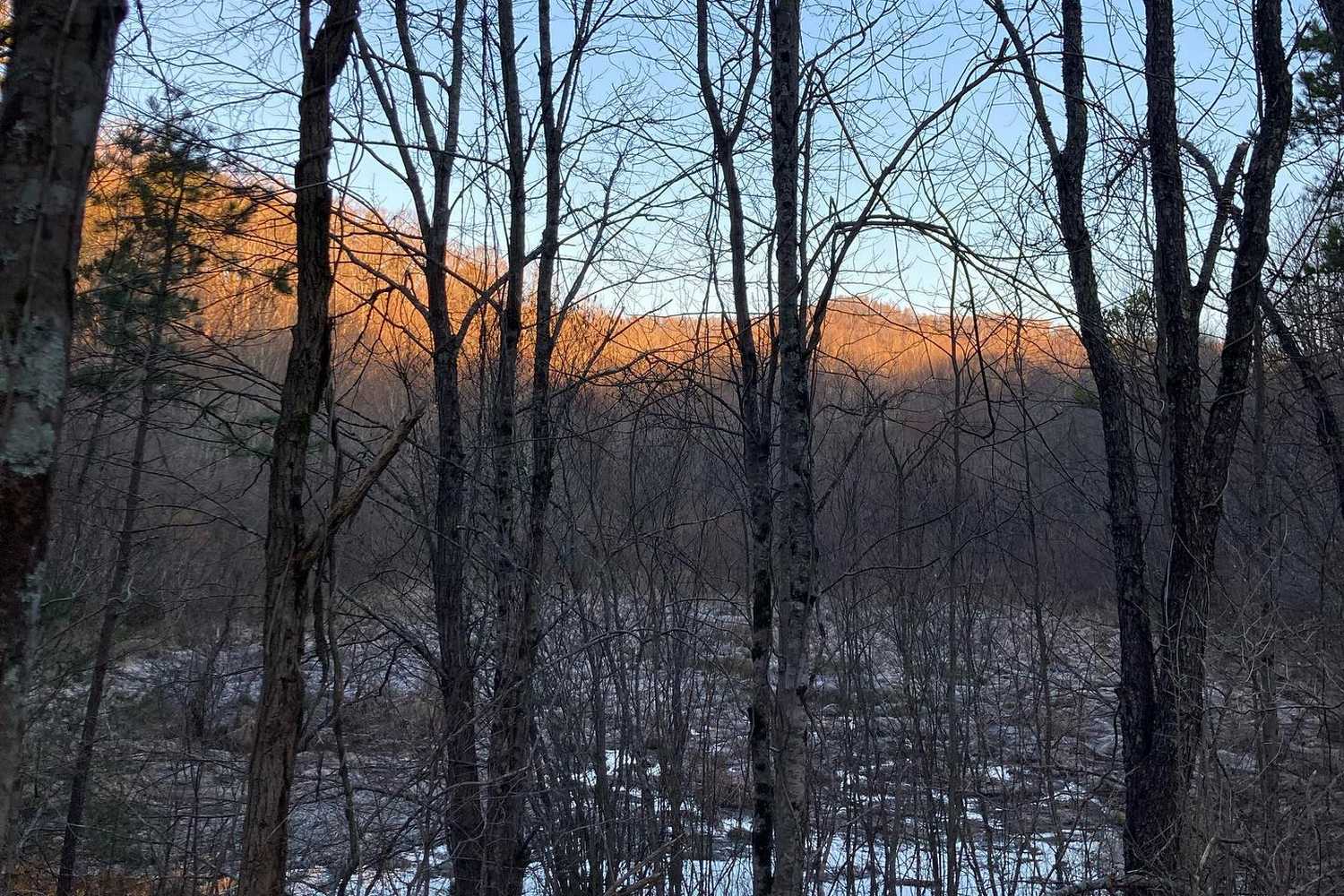 Bent Creek Community Park photo 1