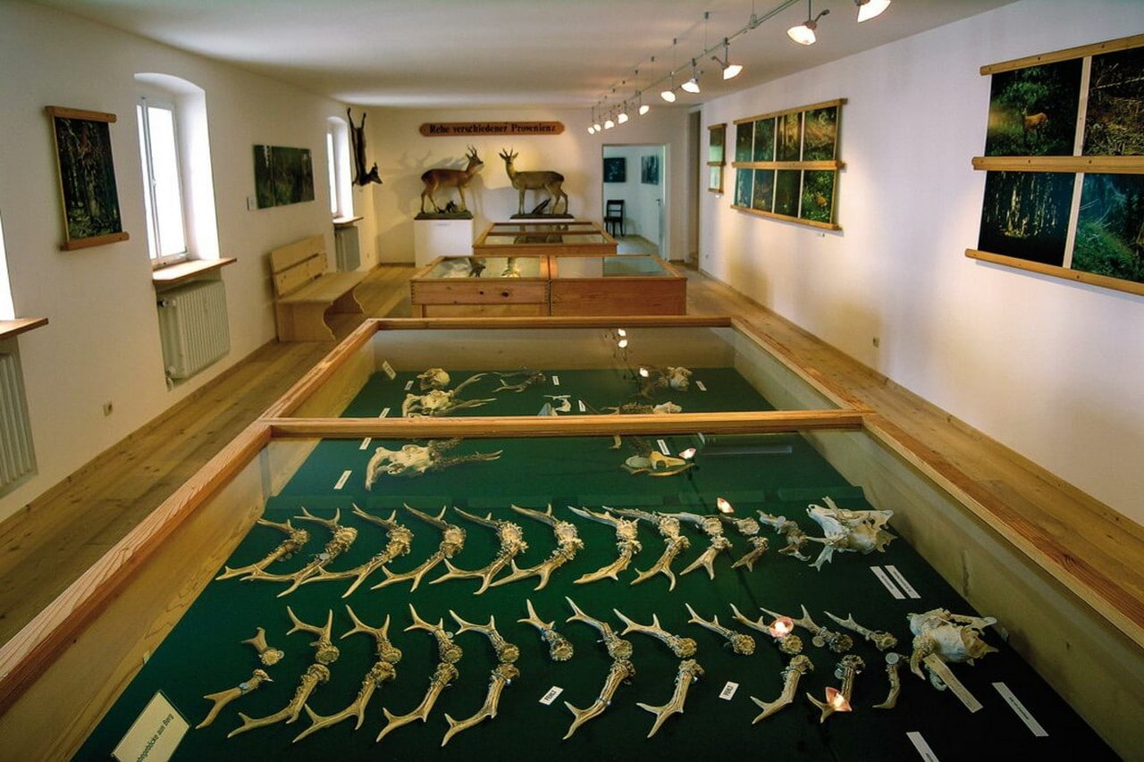 Berchtesgaden Castle photo 1