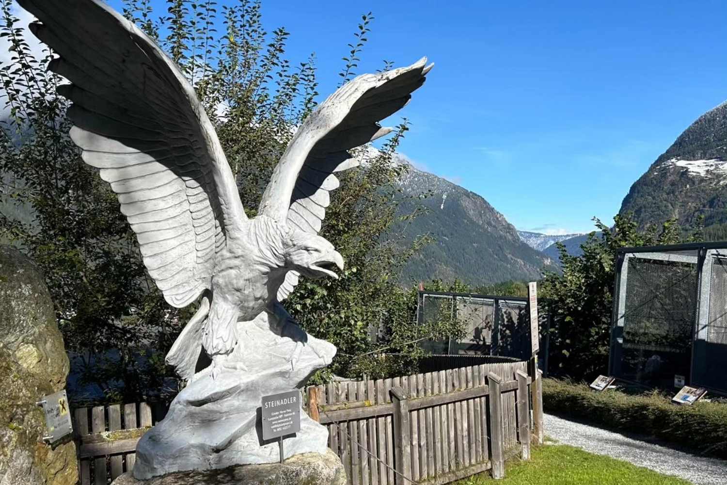 Birds of Prey Park Umhausen photo 1