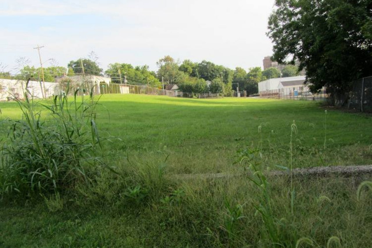 Black Diamond Backyard photo 1