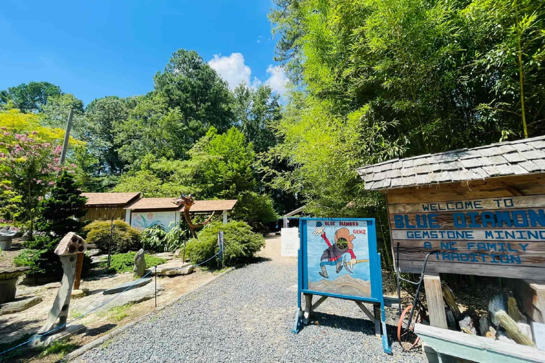Blue Diamond Gemstone Panning photo 1