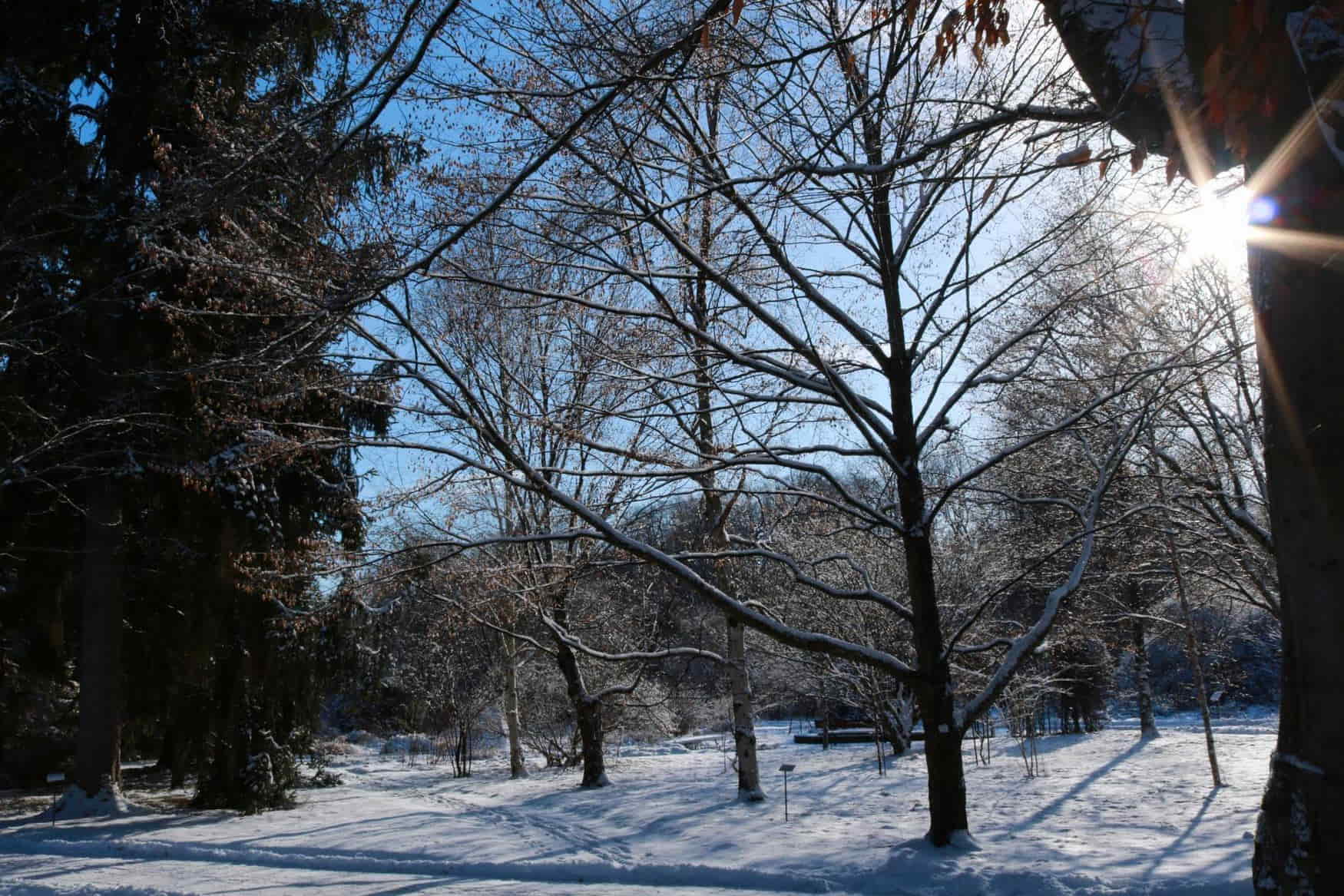 Herzogin Garten фото 1