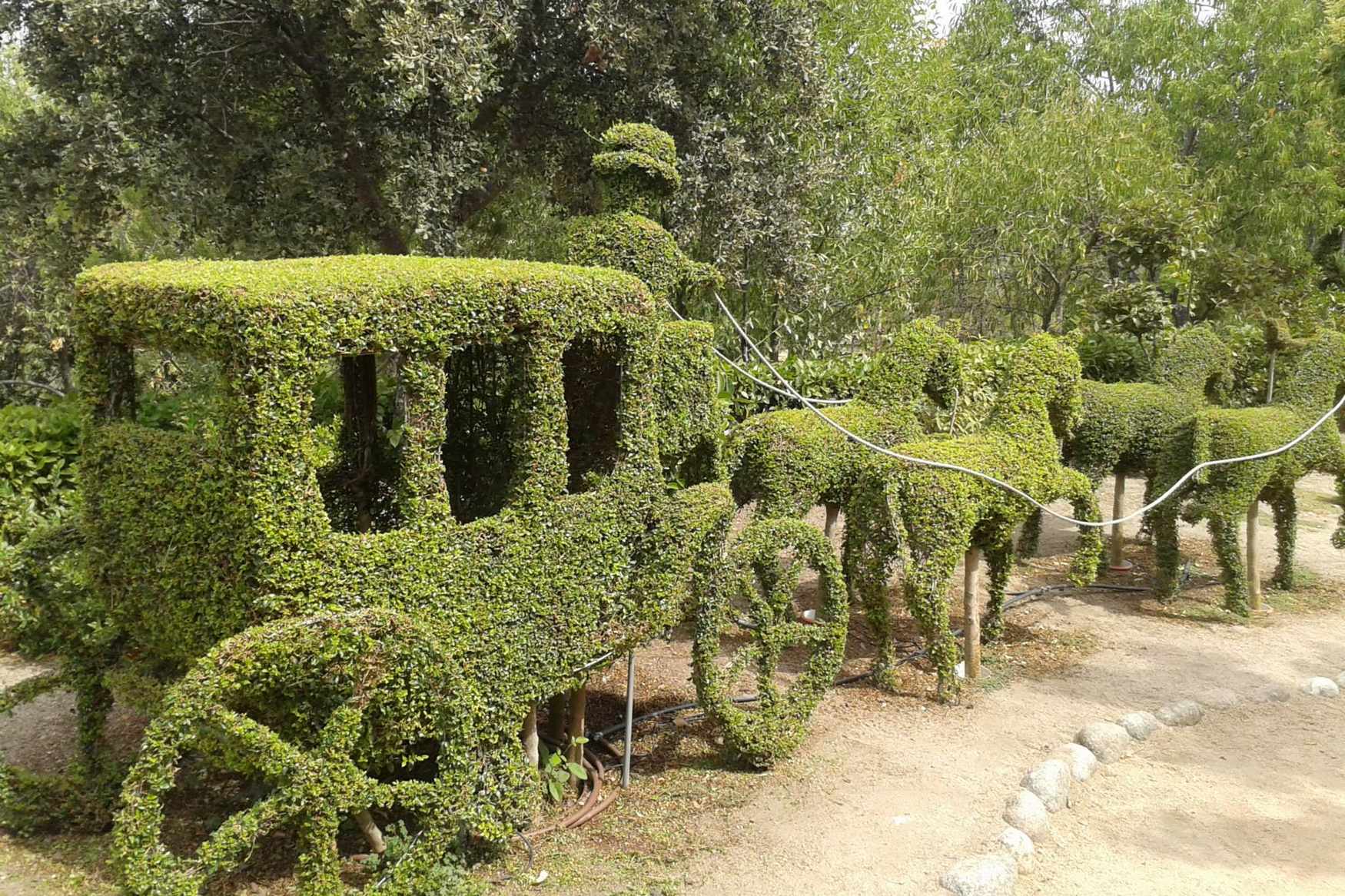 The Enchanted Forest photo 1