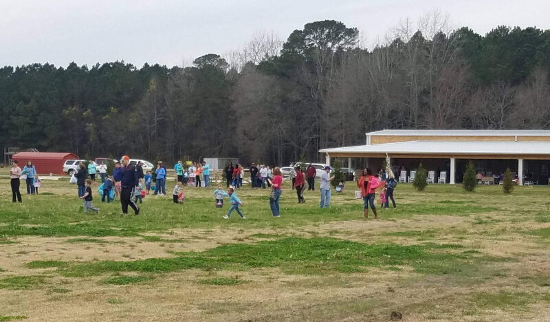 Brocks Berries & Farm