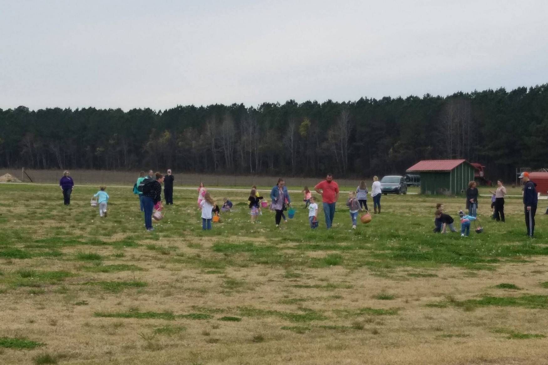 Brocks Berries & Farm photo 1