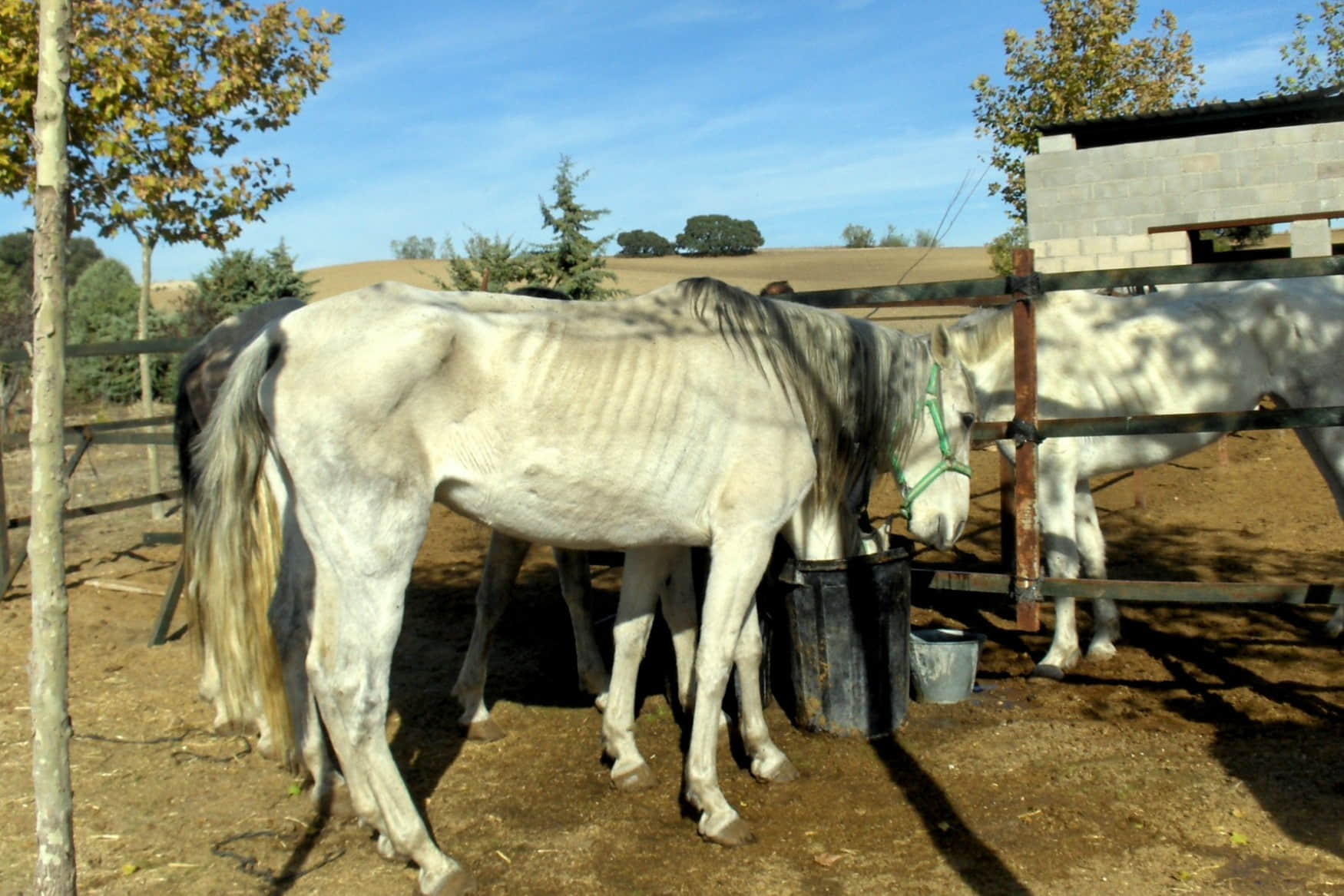 La Granja Escuela El Botero фото 1