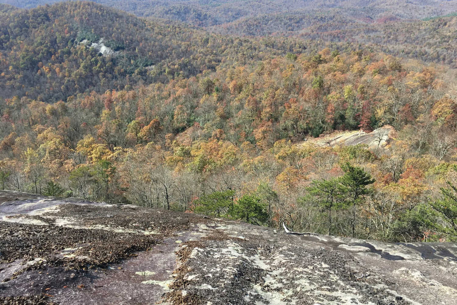 Tropical Gardens Mini Golf фото 1