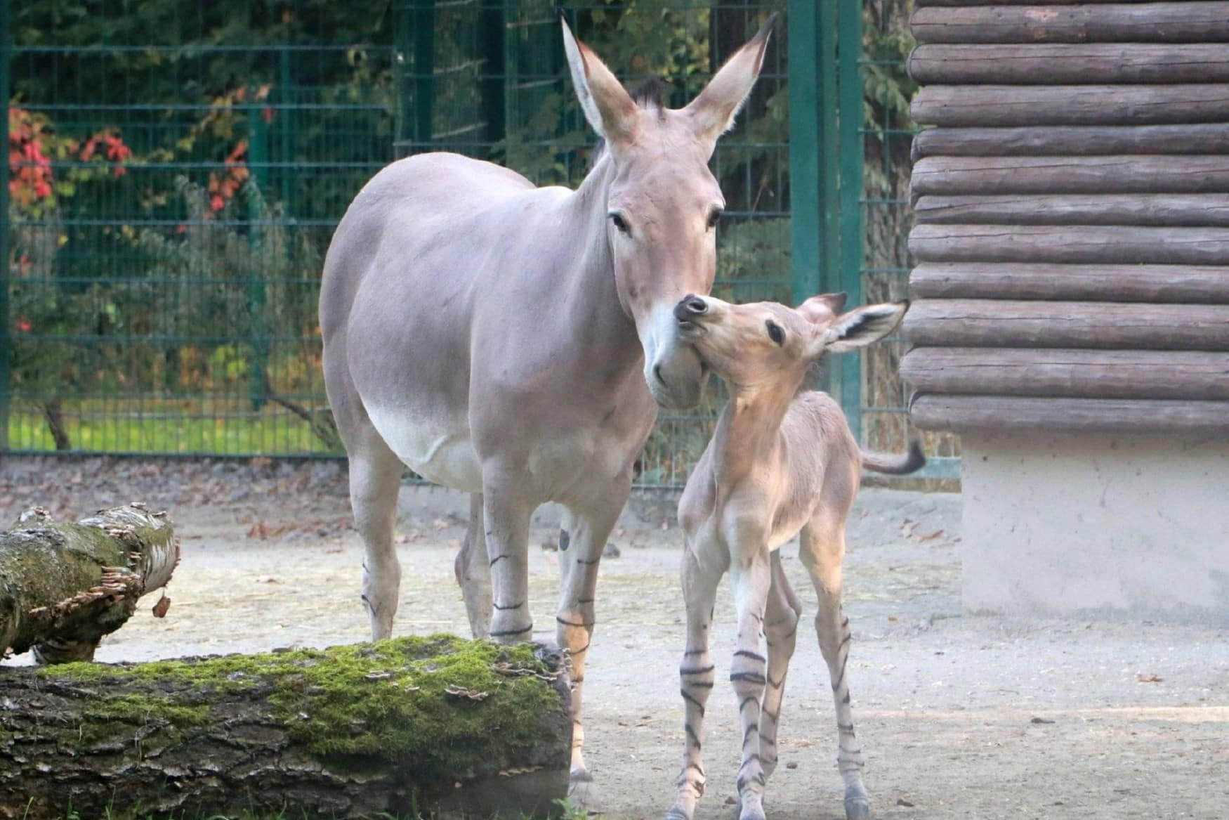 Water Castle Klaffenbach фото 1
