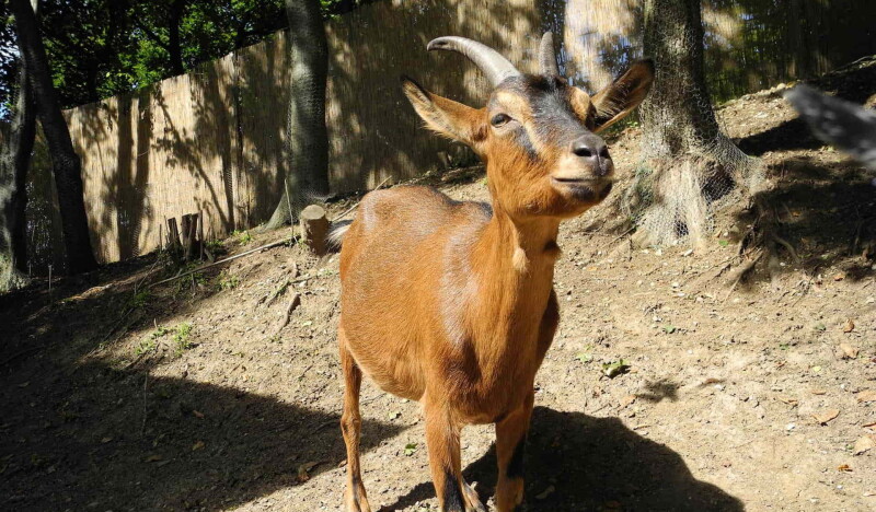 Child and Youth Farm Ramersdorf