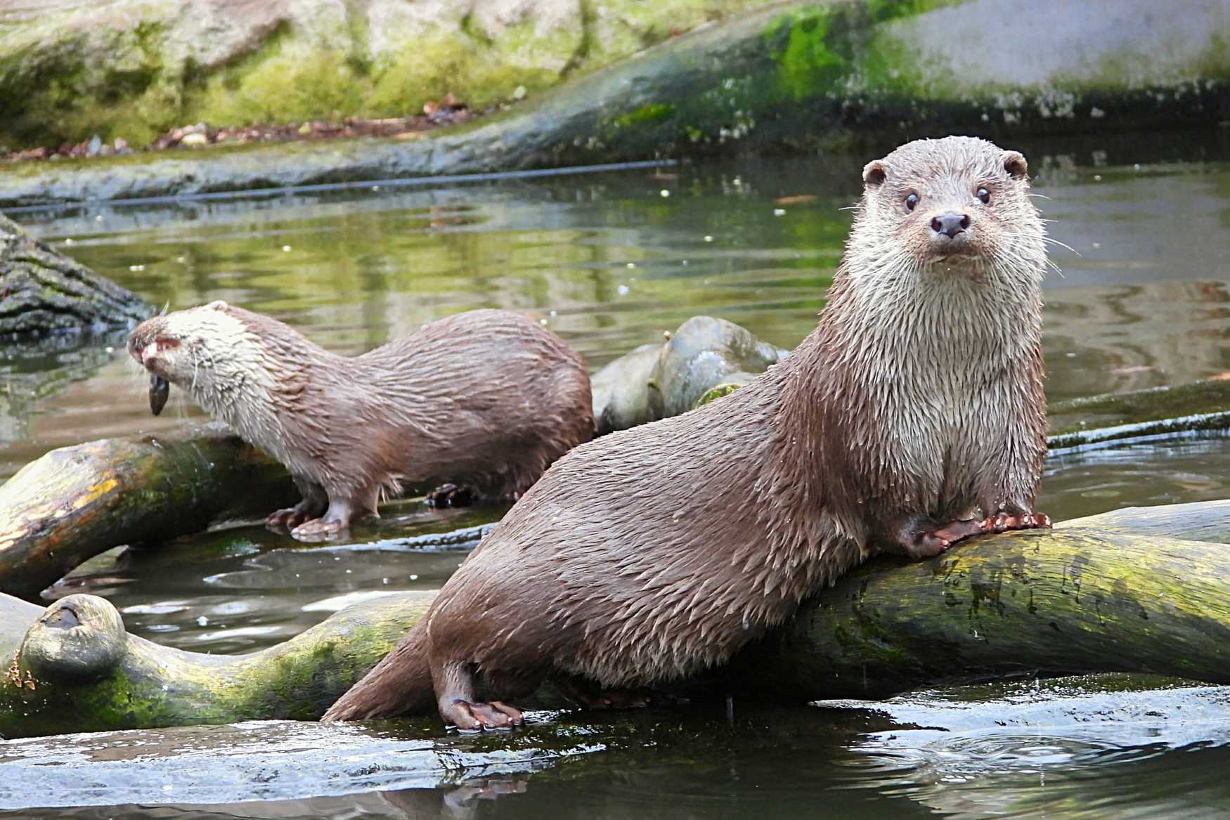 Chomutov Zoo photo 1