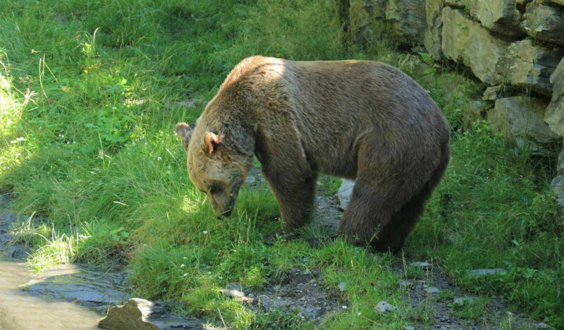 Cumberland Wildlife Park Grunau