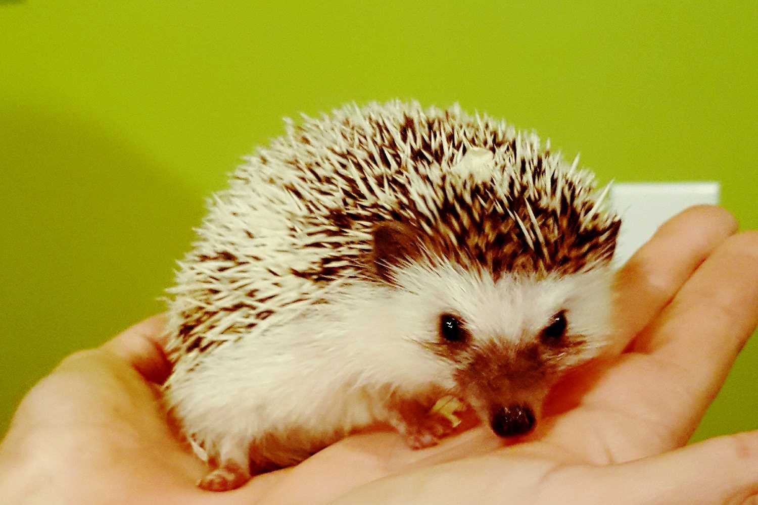 Darby Acres Farm photo 1