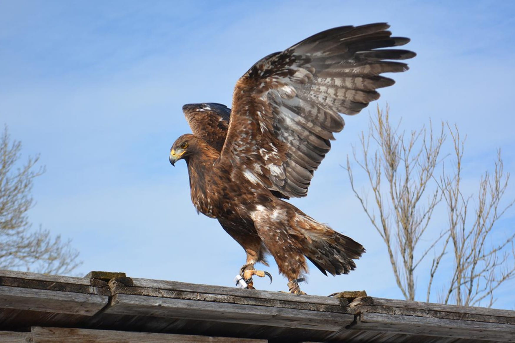 Der Falkenhof Paul Klima photo 1