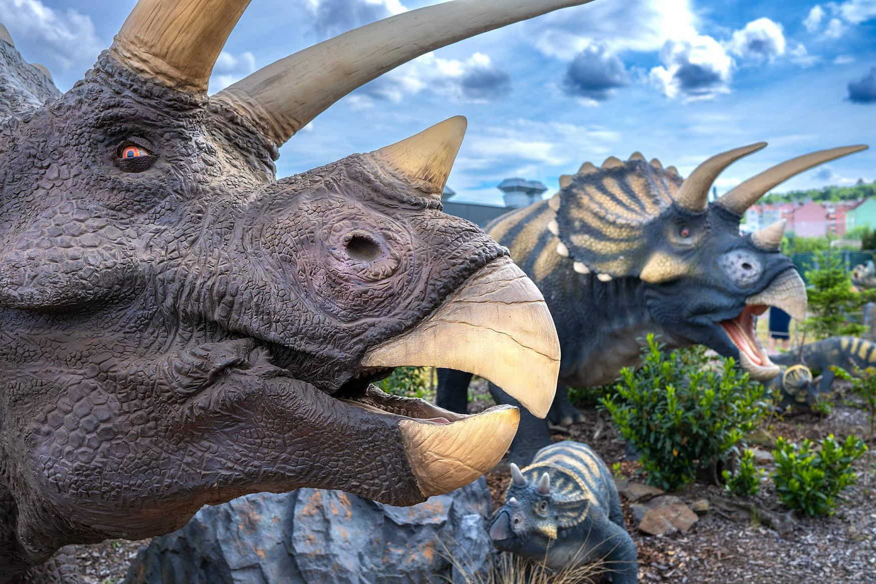 Dinopark Liberec Plaza photo 1