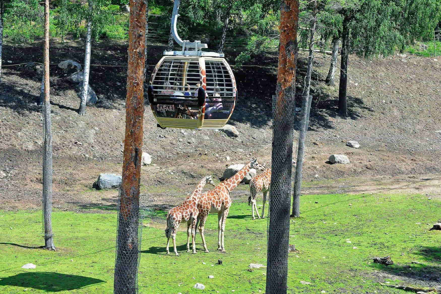 Doppelmayr Zoo photo 1