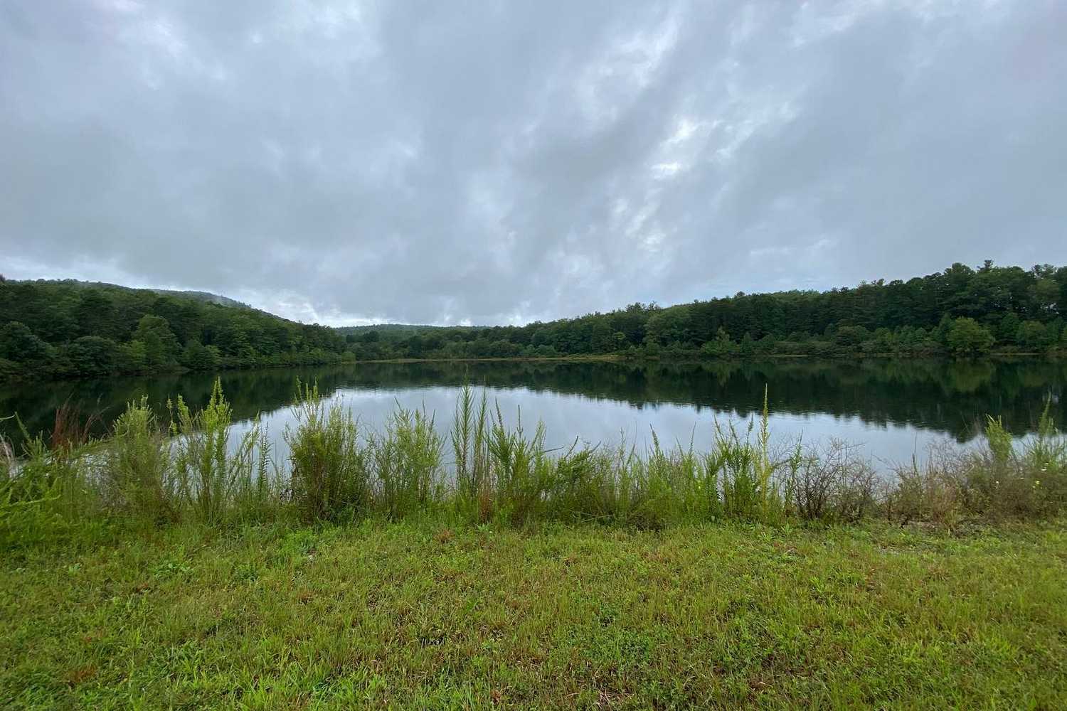 Reedy Creek Nature Center photo 1