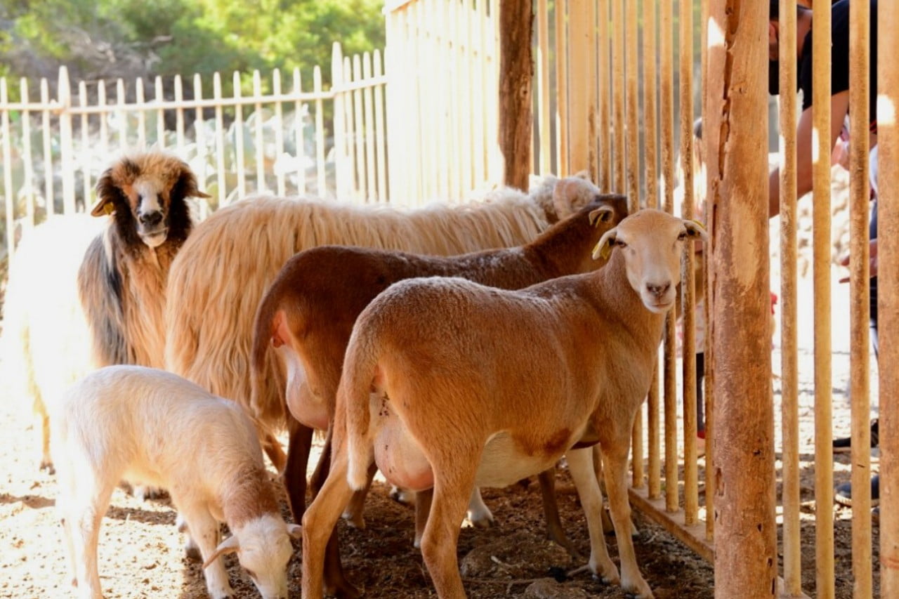 Ecological Farm Finca El Carretón photo 1
