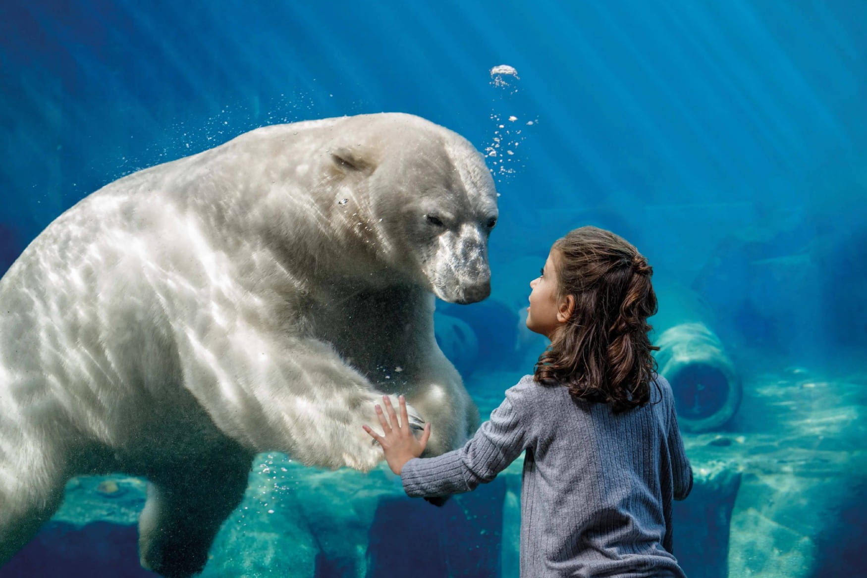 Erlebnis Zoo Hannover photo 1