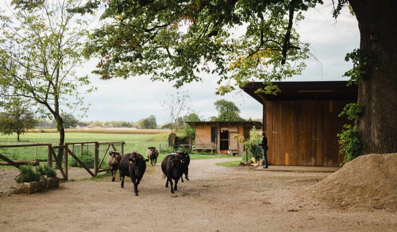 Erlebnisbauernhof Groedig
