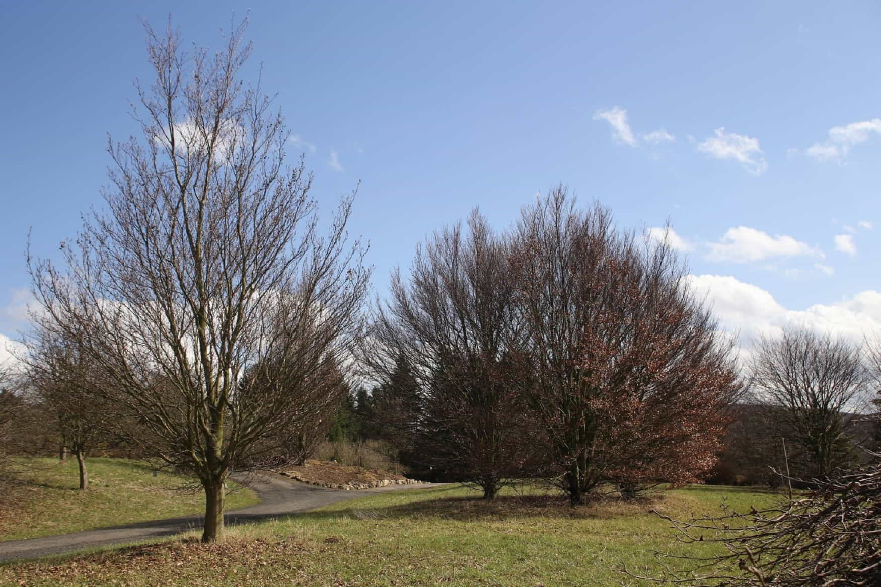 Experimental Botanical Garden photo 1