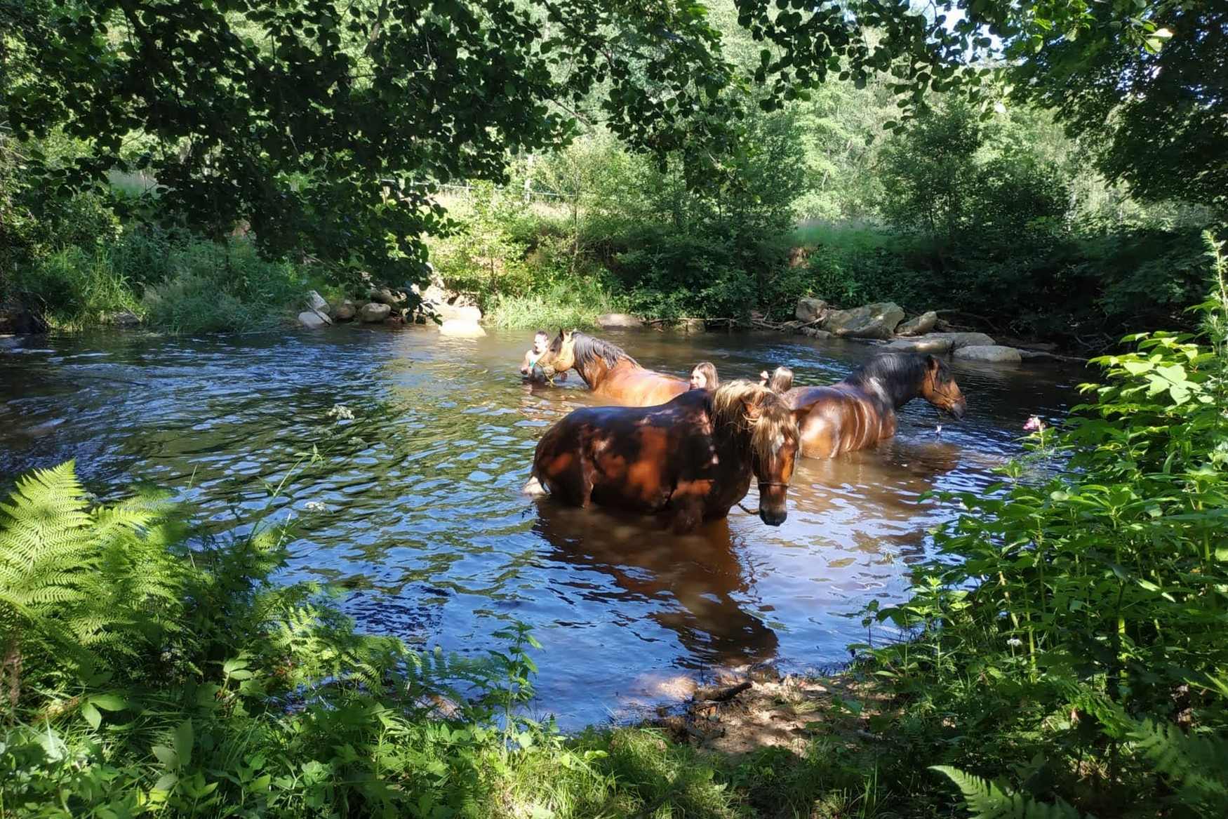 Farma Kozodoj photo 1