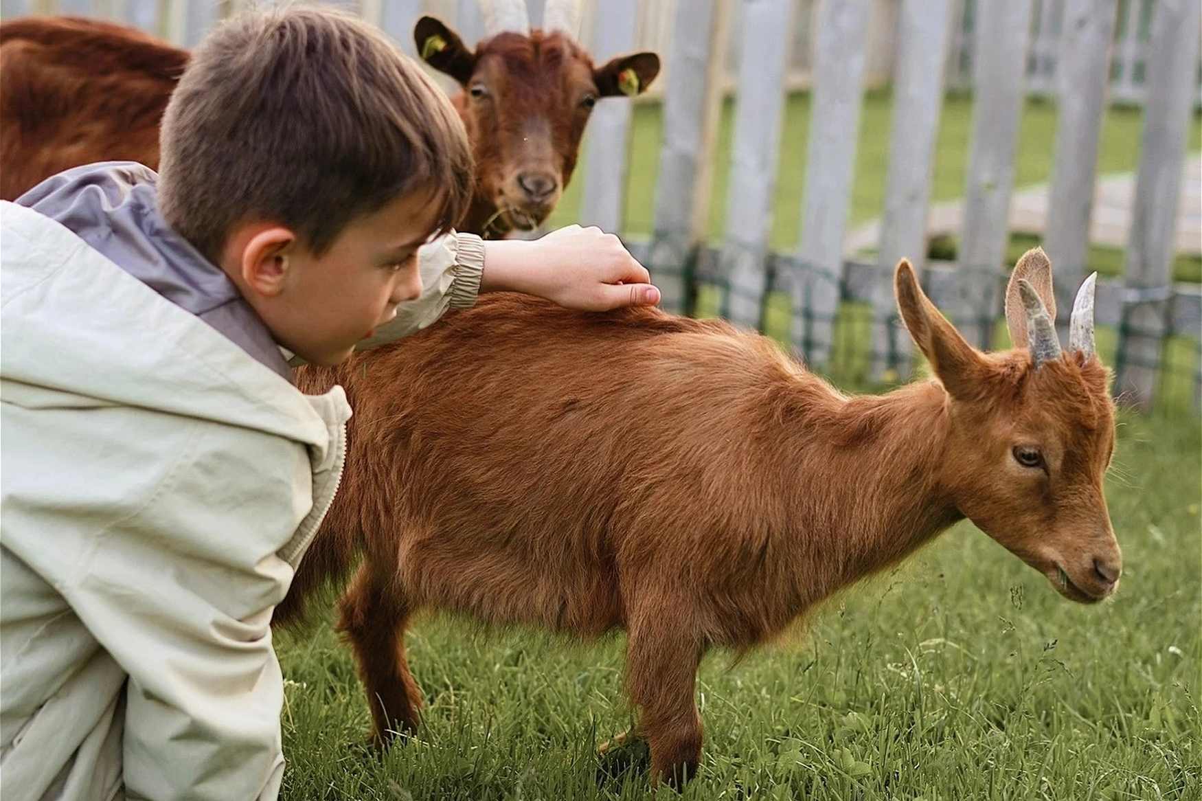 Unterschwarzachhof Mini Farm фото 1