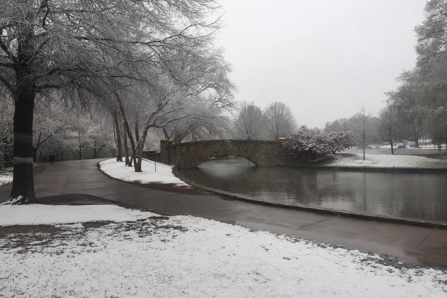 Freedom Park photo 1