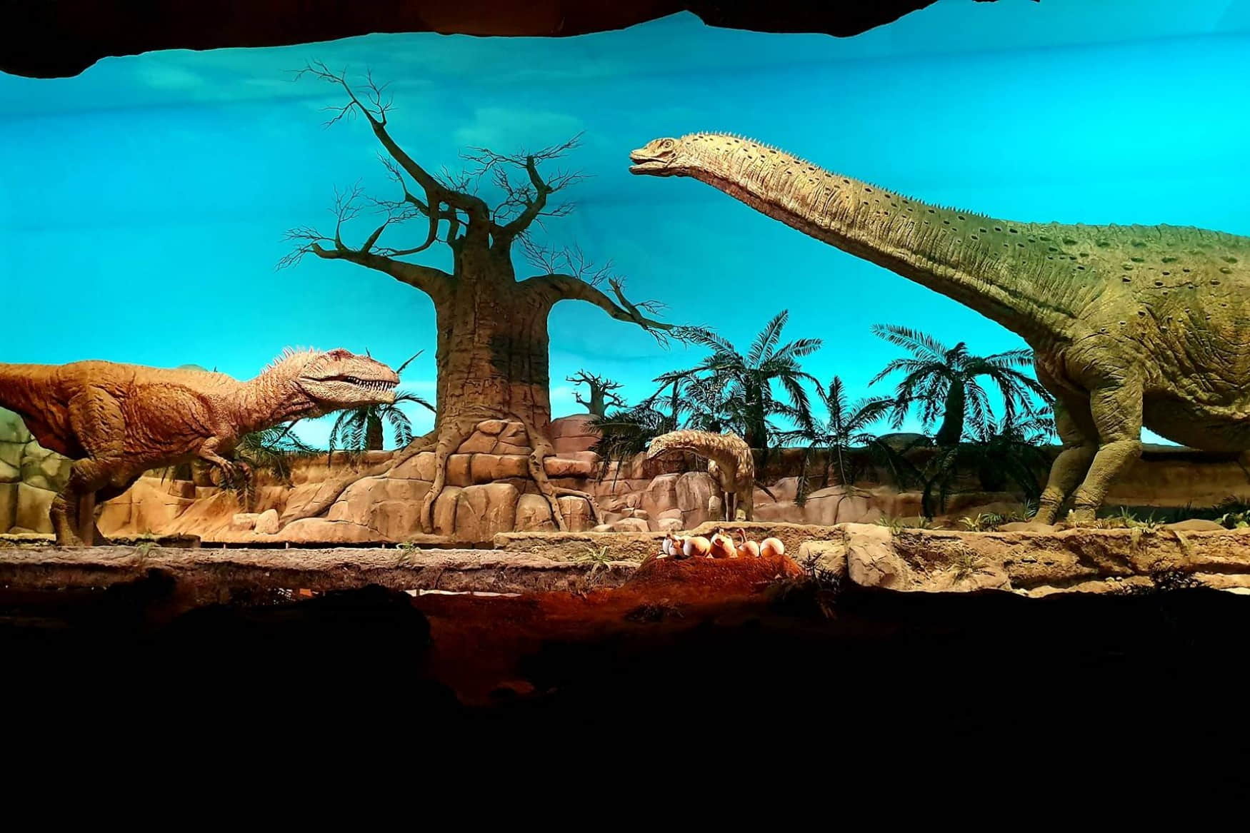 GONDWANA - the Prehistorium photo 1