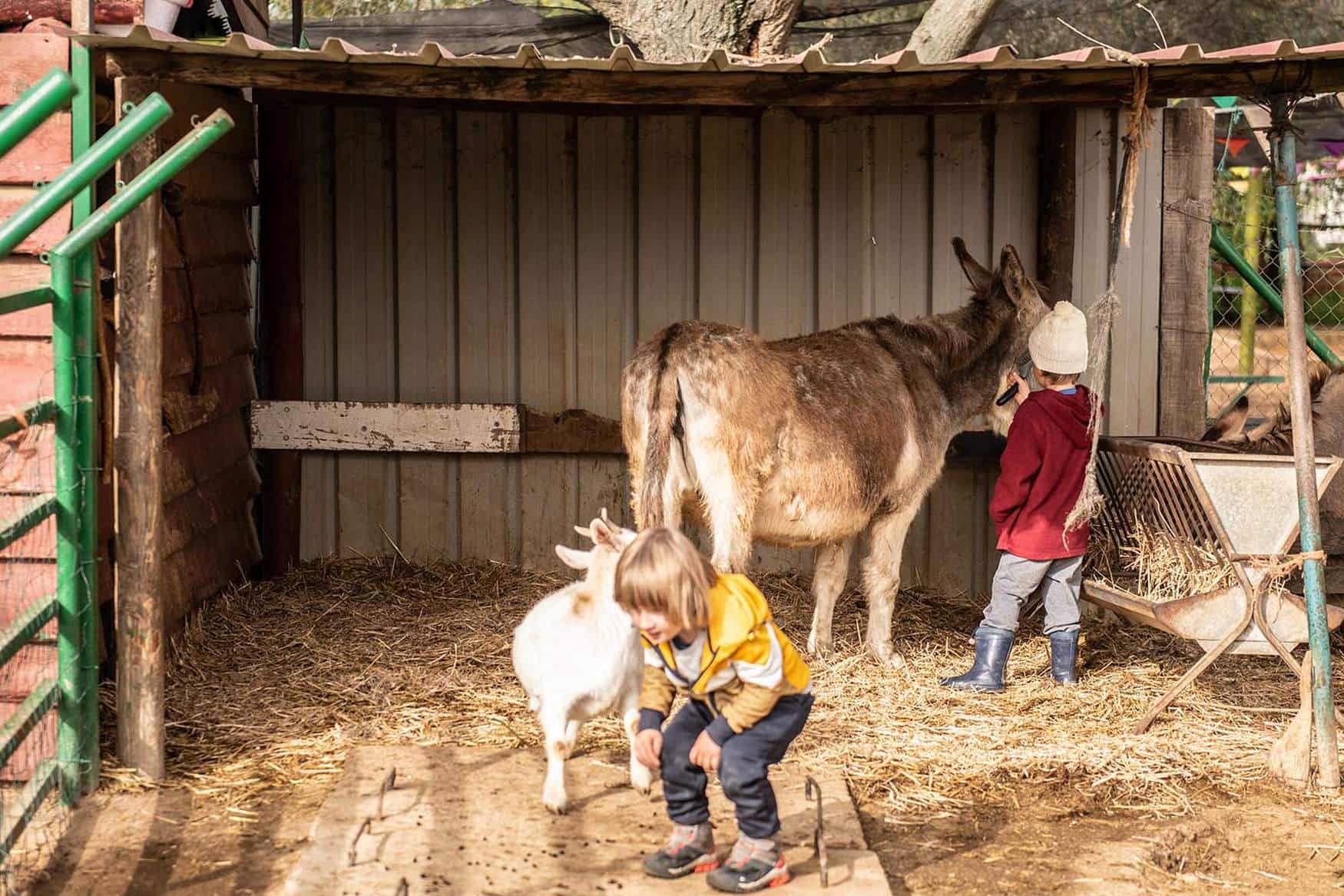 Granja Escuela Cuna Espartinas photo 1
