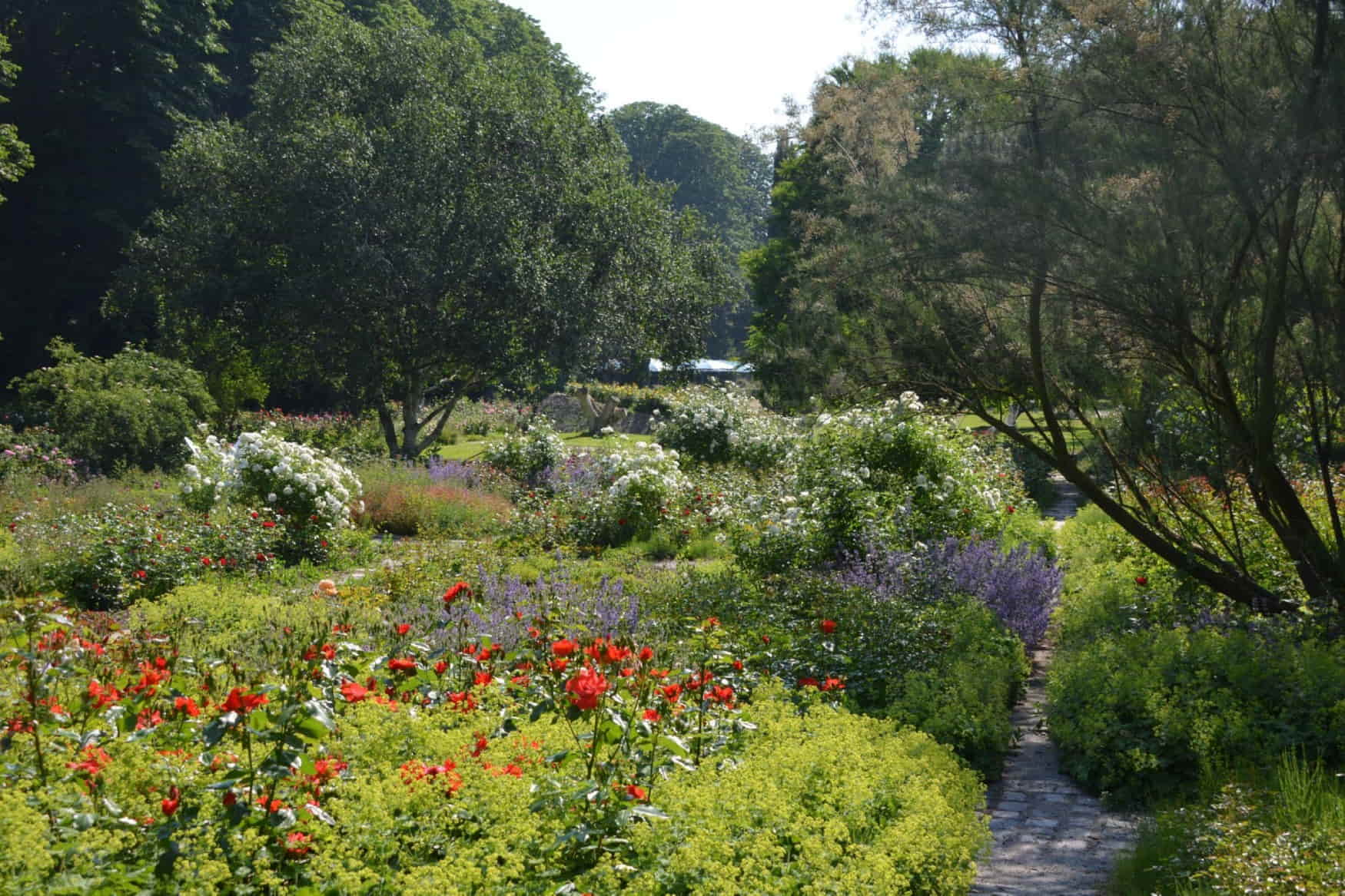 Sensapolis фото 1