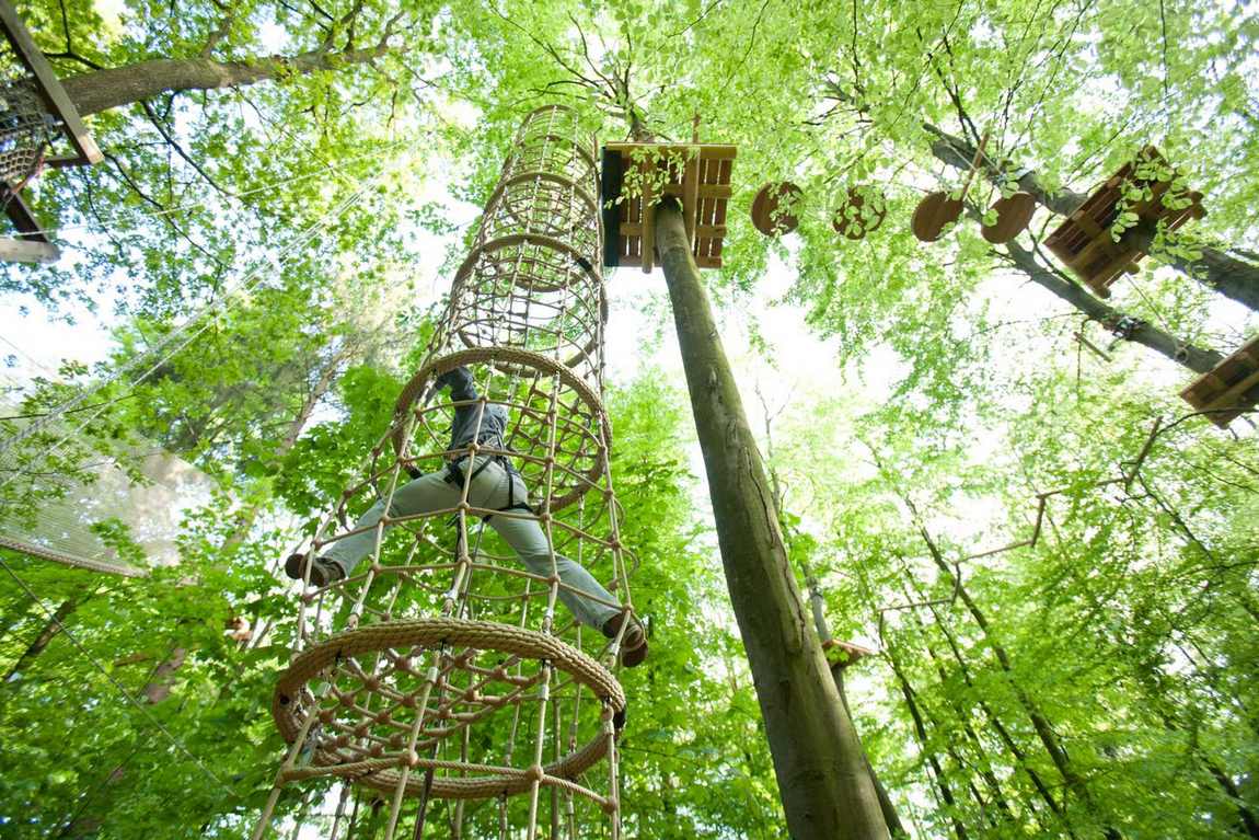 веревочный парк kletterwald hamburg фото 2