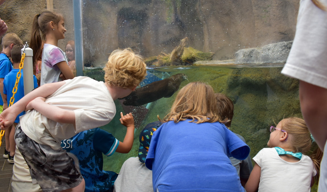 north carolina aquarium on roanoke island photo 4