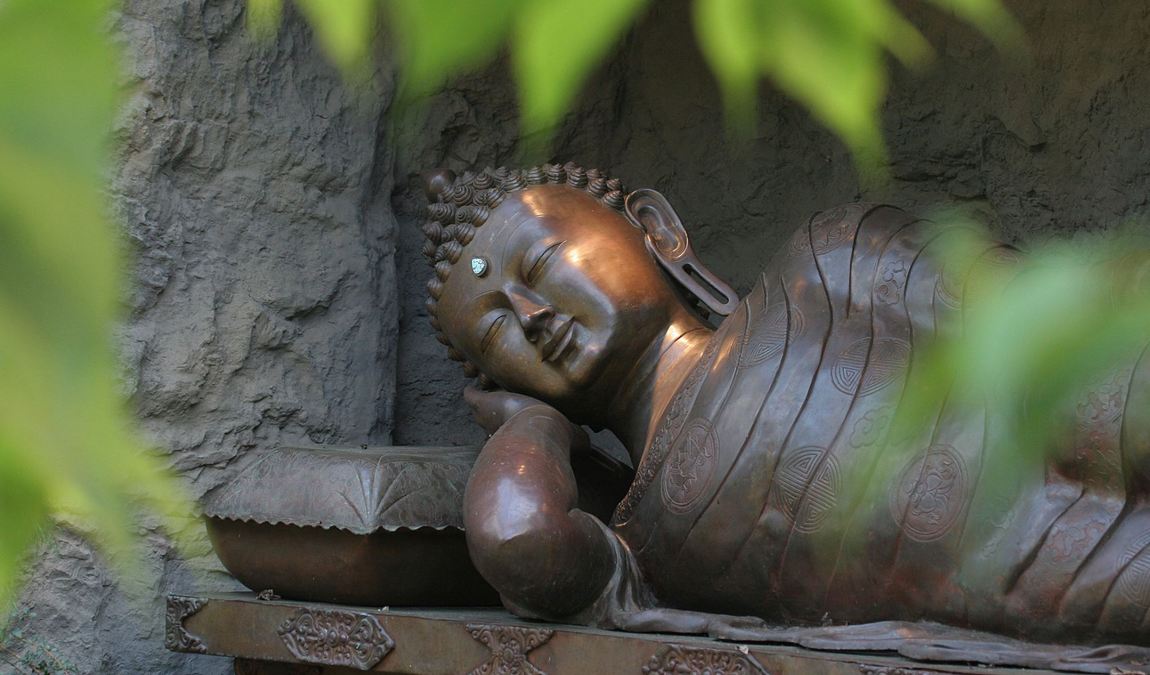 botanika photo 7