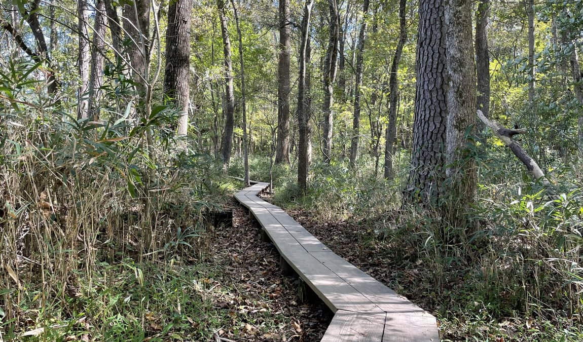 historic yates mill county park photo 1