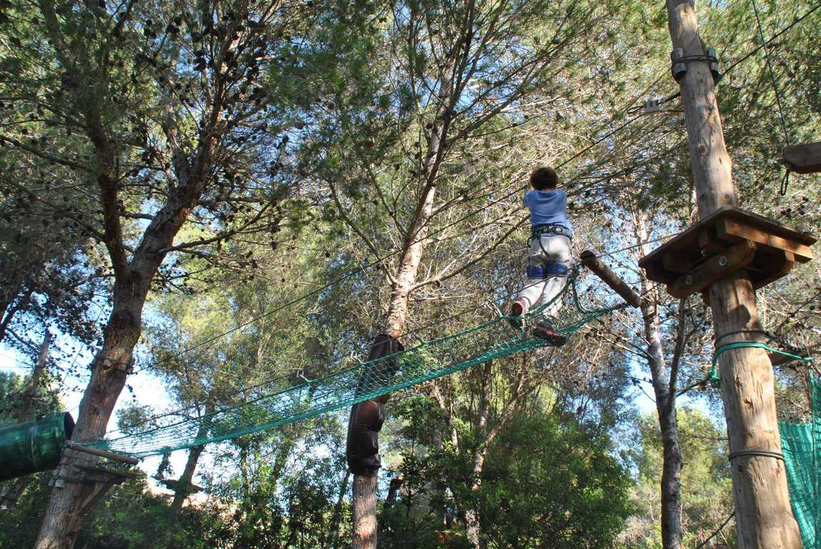 веревочный парк jungle parc  фото 1
