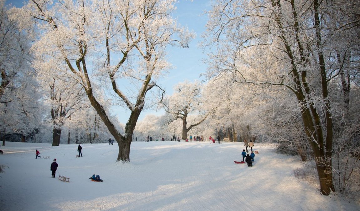knoops park photo 4