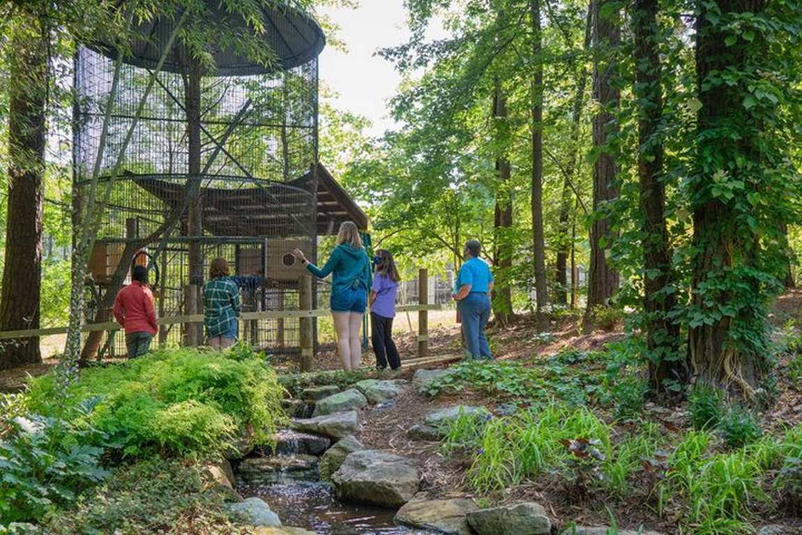 duke lemur center photo 1