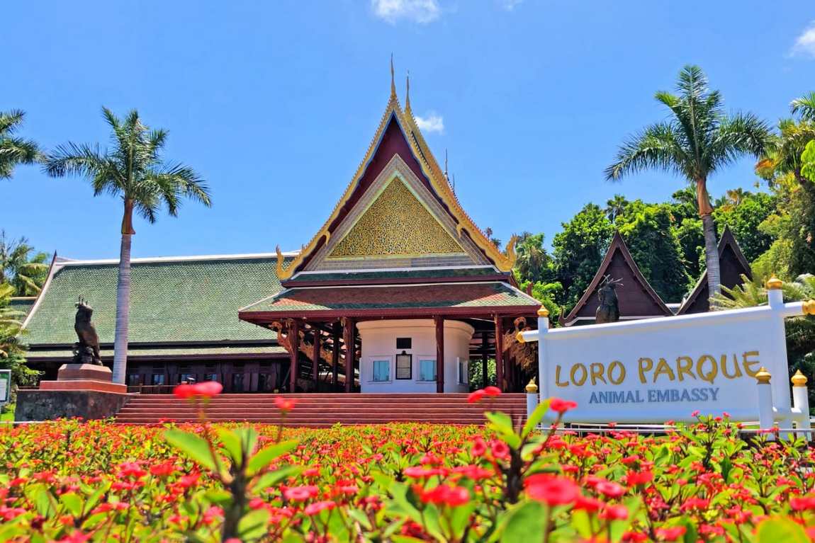 лоро парк (loro parque) фото 1