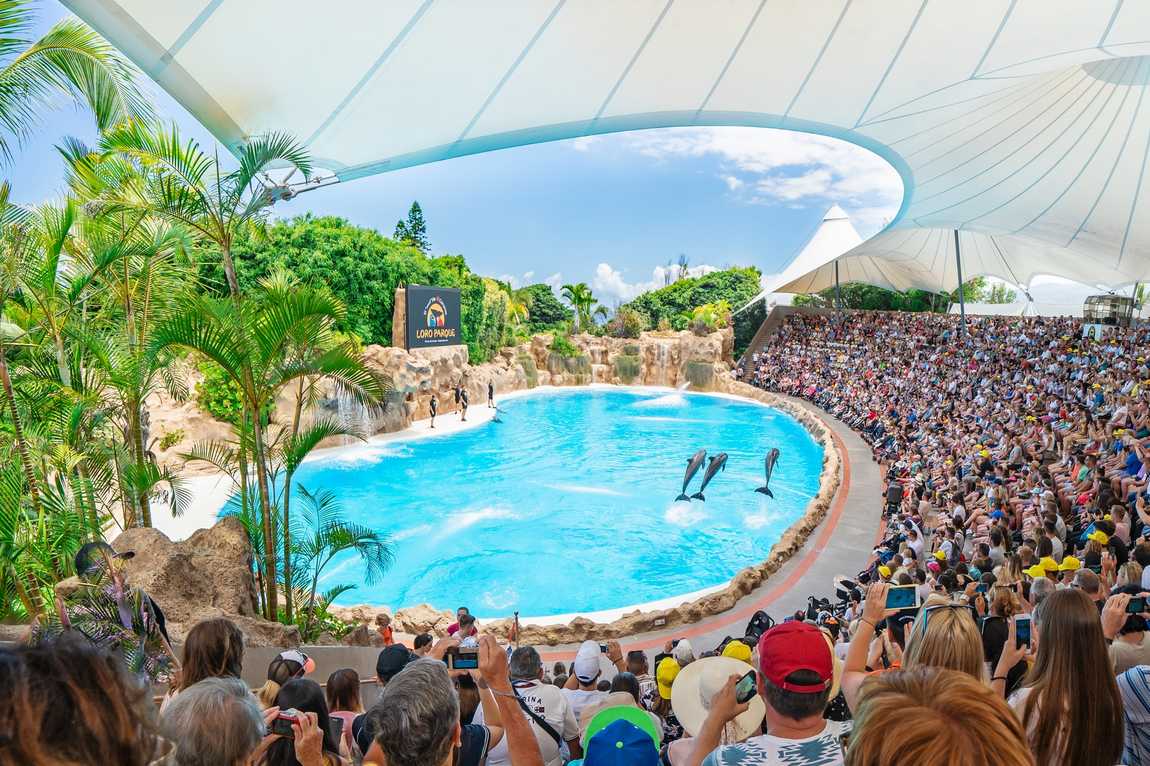 лоро парк (loro parque) фото 4