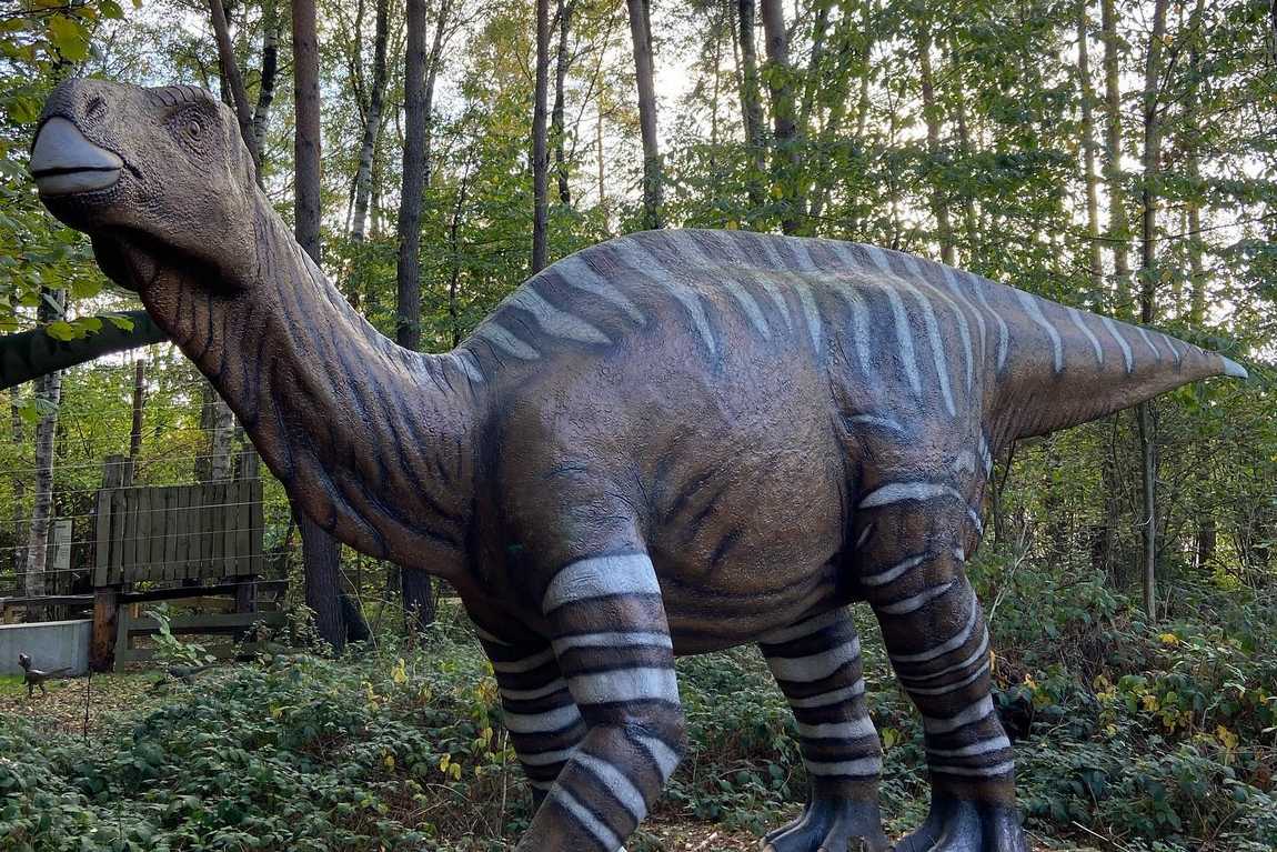 dino park münchehagen photo 3