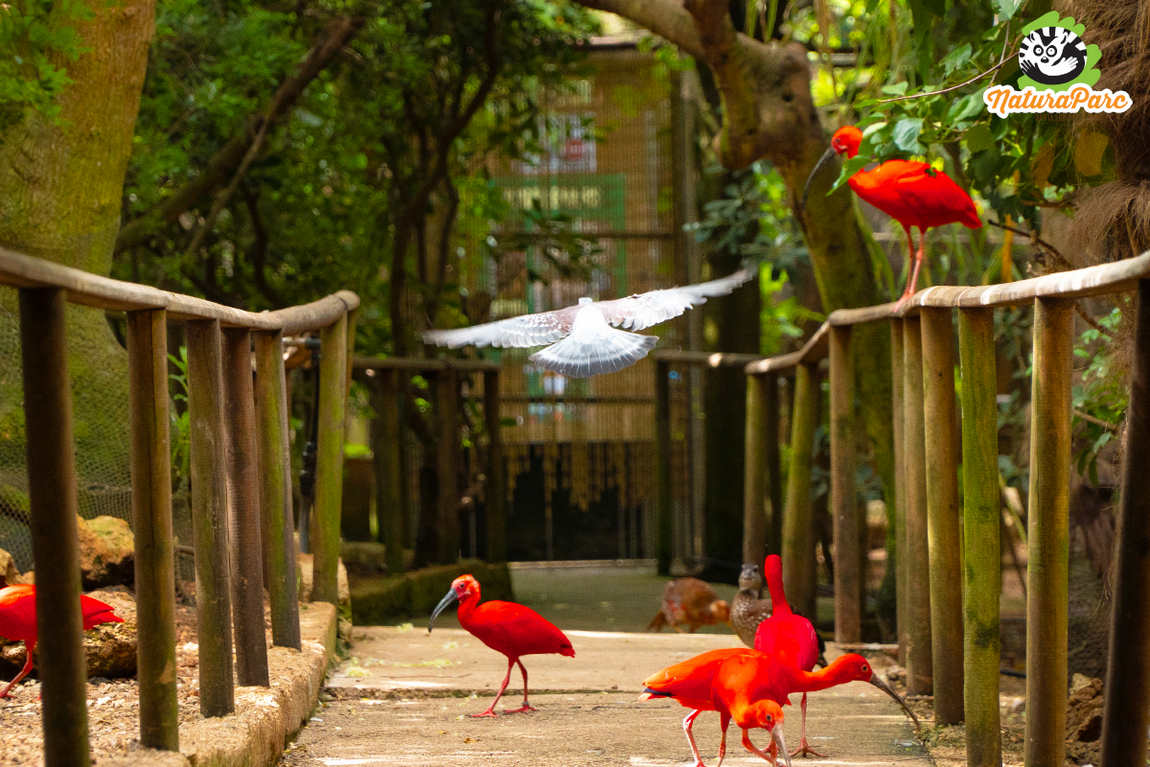 натура парк (natura park) фото 1