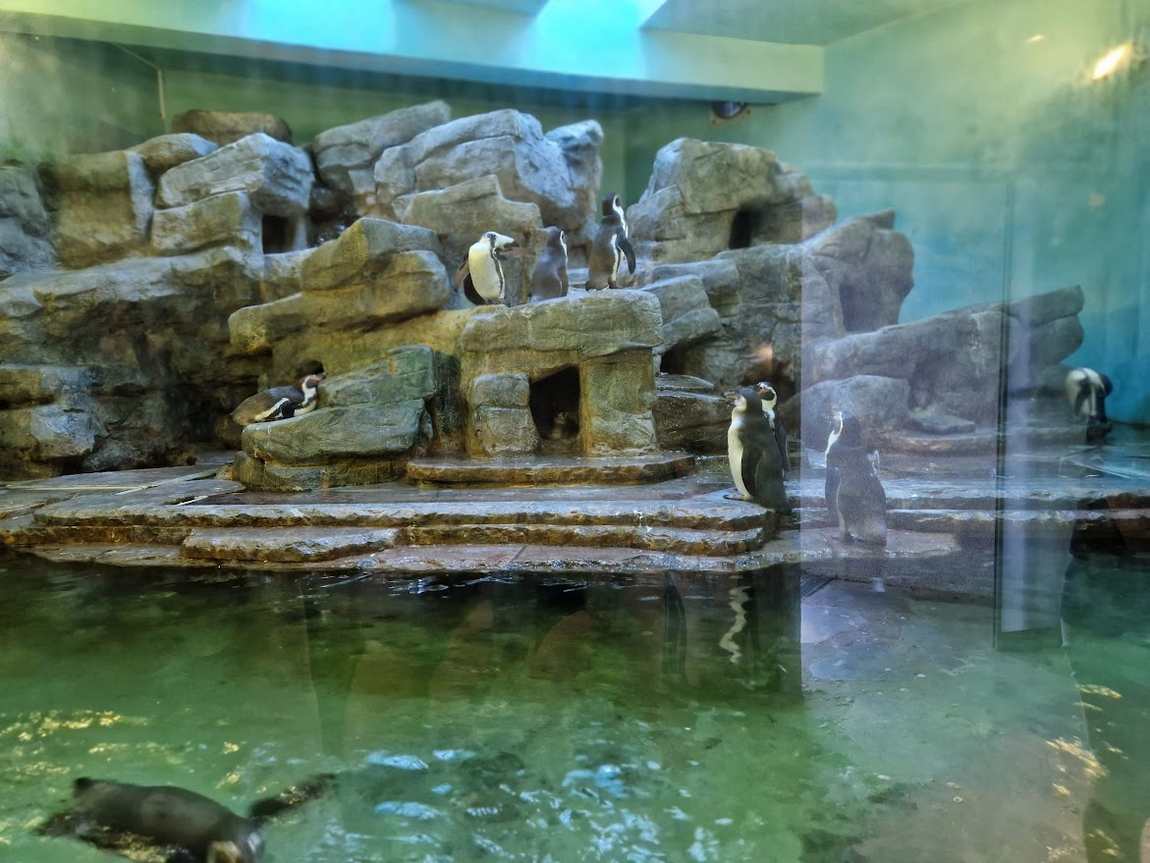 prague zoo photo 5